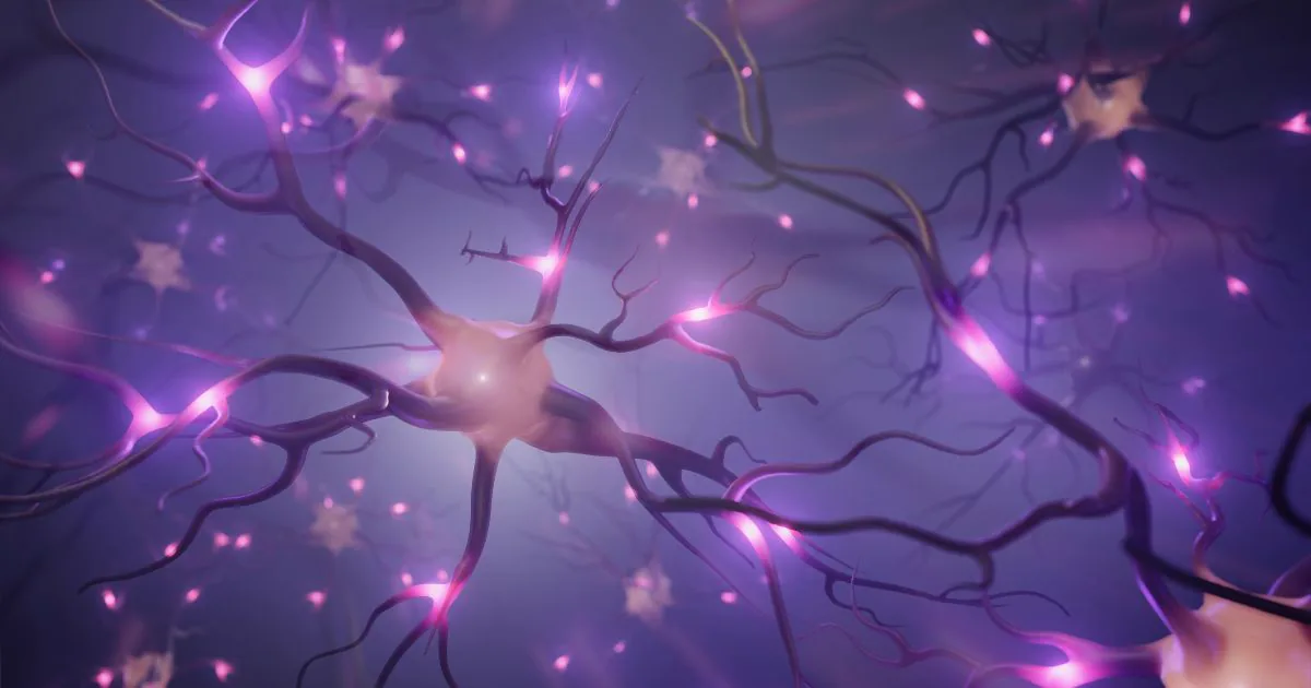 Neural networks in artificial intelligence